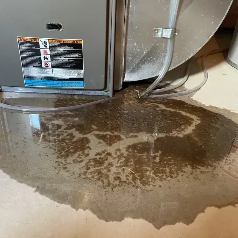 Appliance Leak Cleanup in Beattyville, KY